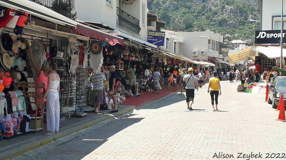 pic15-az