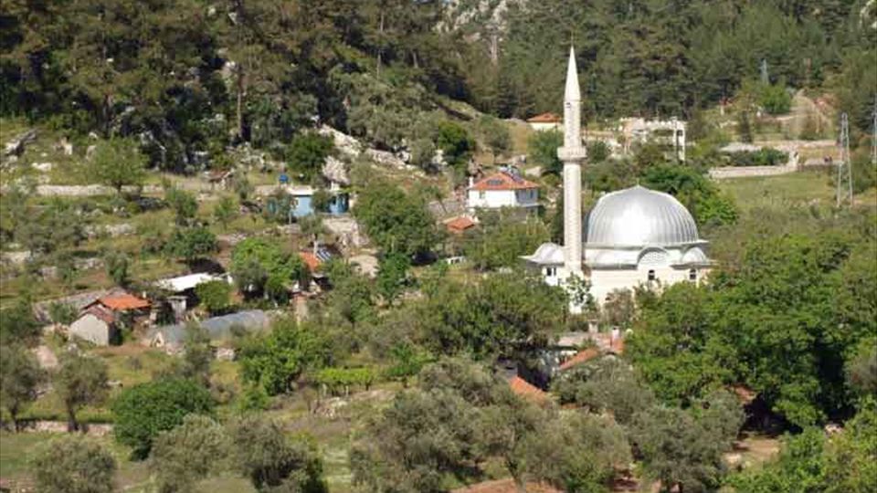 Taste of Turkey