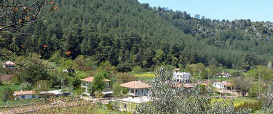 Dereözü Panorama