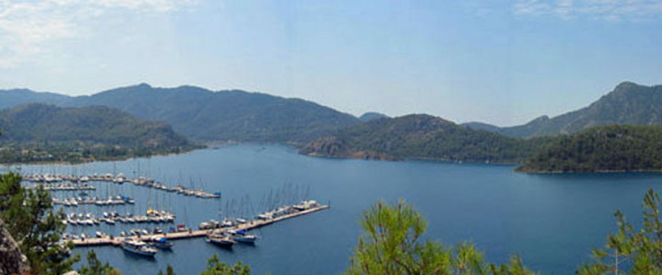 xxx Panorama
