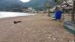 A relatively stone- and plastic-free beach